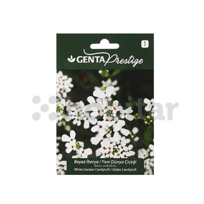 Çiçek Tohumu Beyaz İberya Yeni Dünya Çiçeği Genta Prestige