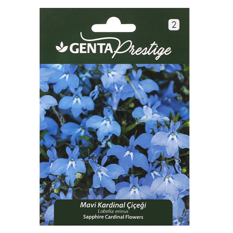Çiçek Tohumu Mavi Kardinal Çiçeği Genta Prestige
