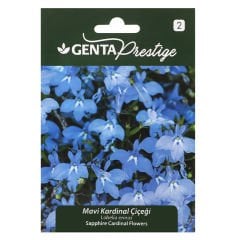 Çiçek Tohumu Mavi Kardinal Çiçeği Genta Prestige