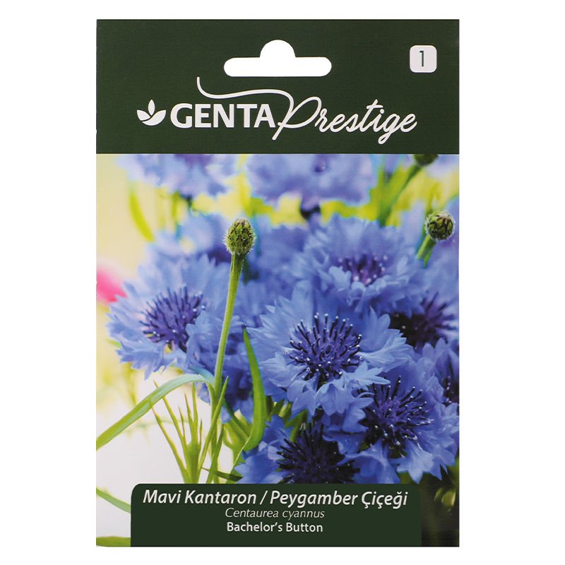 Çiçek Tohumu Mavi Kantaron Peygamber Çiçeği  Genta Prestige