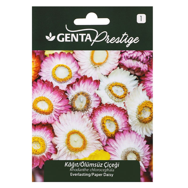 Çiçek Tohumu Kağıt Ölümsüz Çiçeği Genta Prestige