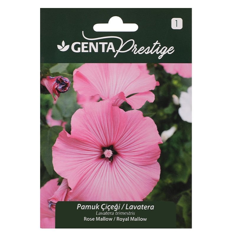 Çiçek Tohumu Pamuk Çiçeği / Lavatera Genta Prestige