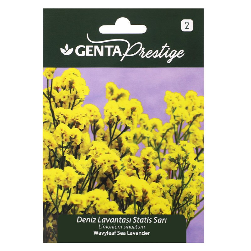 Çiçek Tohumu Deniz Lavantası - Statis Sarı Genta Prestige