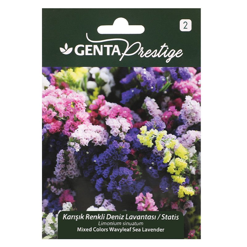 Çiçek Tohumu Karışık Renkli Deniz Lavantası - Statis  Genta Prestige