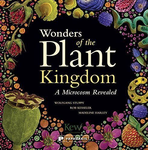 Wonders of the Plant Kingdom: A Microcosm Revealed - Wolfgang Stuppy
