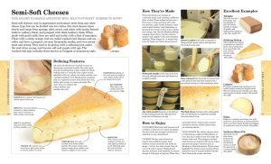 World Cheese Book (Ciltli) The Finest Selection - Juliet Harbutt