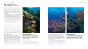 Underwater Photography Masterclass - Alex Mustard