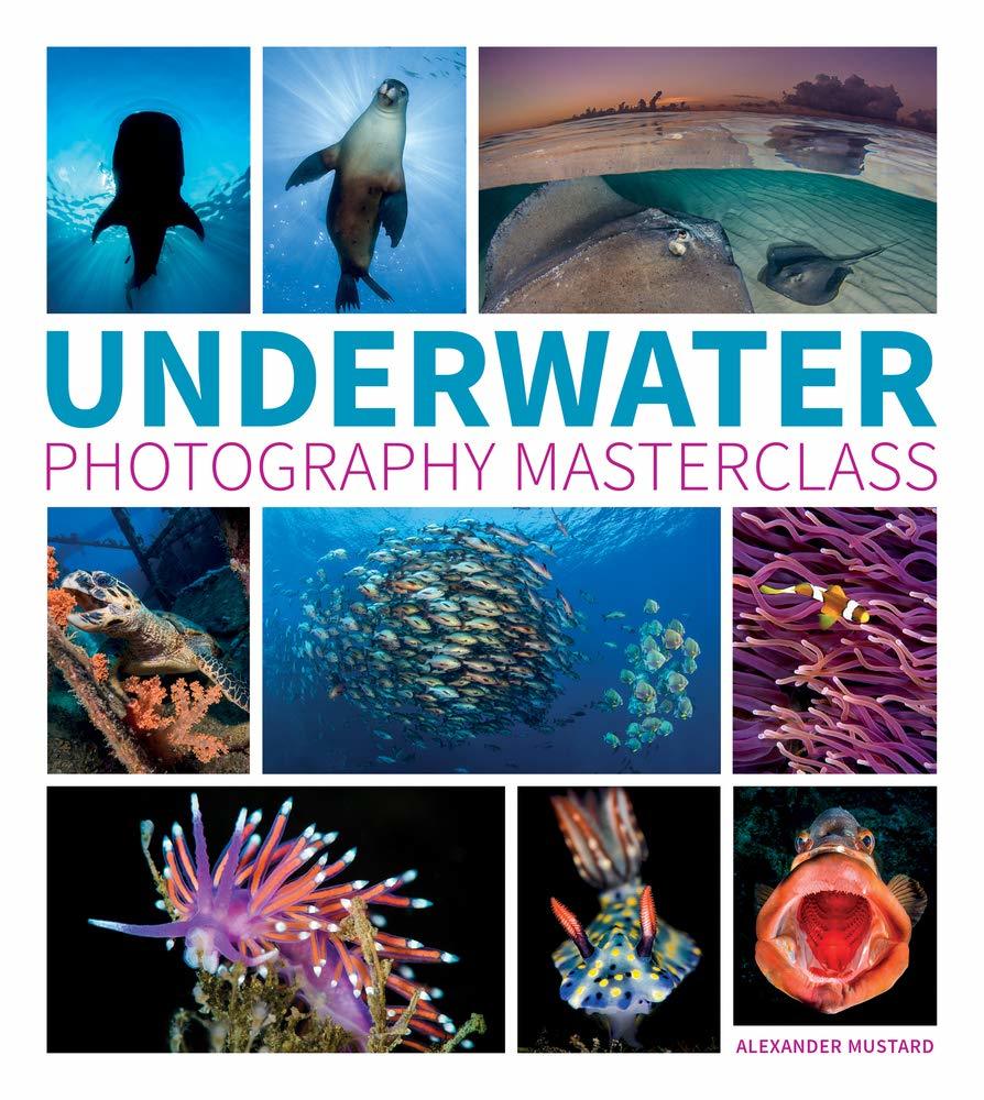Underwater Photography Masterclass - Alex Mustard