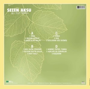 Sezen Aksu - Deli Kızın Türküsü Lp