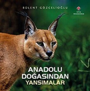 Anadolu Doğasından Yansımalar Ciltli - Bülent Gözcelioğlu