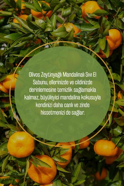 Doğal Zeytinyağlı Mandalina Sıvı Sabun Mandalinalı Zeytinyağı El Sabunu Nemlendirici 4 ADET 450 Ml
