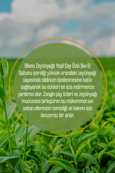 Doğal Zeytinyağlı Yeşil Çaylı Sıvı Sabun Zeytinyağı El Sabunu Yoğun Nemlendirici 4 ADET 450 Ml