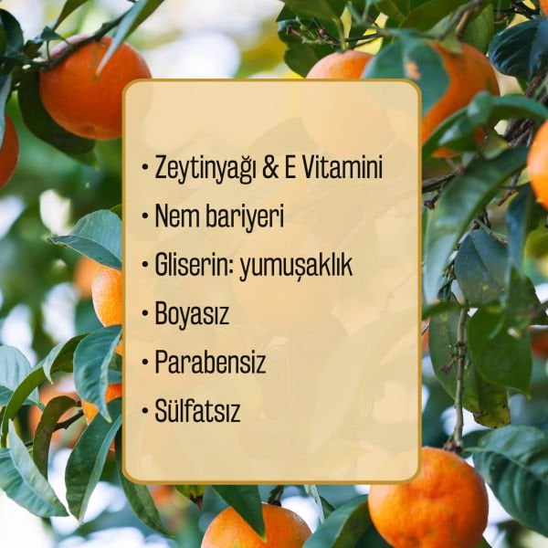 Ambrosia Nectar Zeytinyağlı Mandalina Kokulu Sıvı Sabun Refill 1500 ML (3x500 ML) Ekonomik Paket