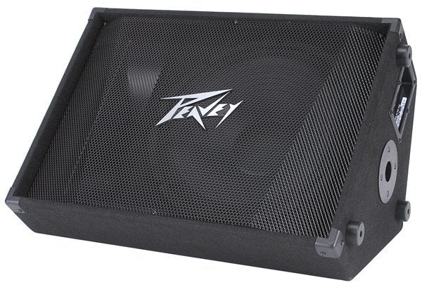 Peavey PV 15M