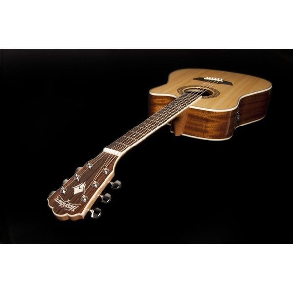 Washburn WD10SCE