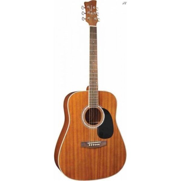 Jay Turser JTA 550N Akustik Gitar