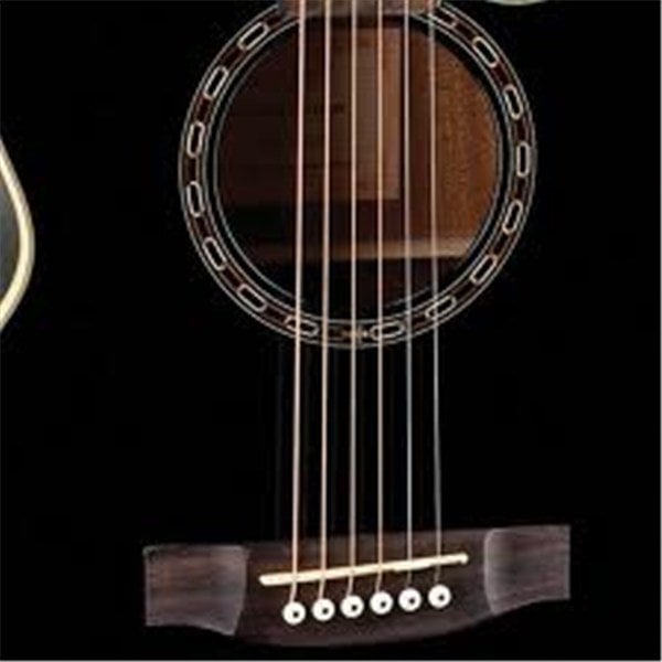 Takamine EG481SCX Elektro Akustik Gitar