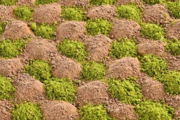 SOĞUK BAKLAVA ( KG )