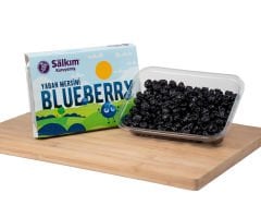 Blueberry Yaban Mersini (200 gr)