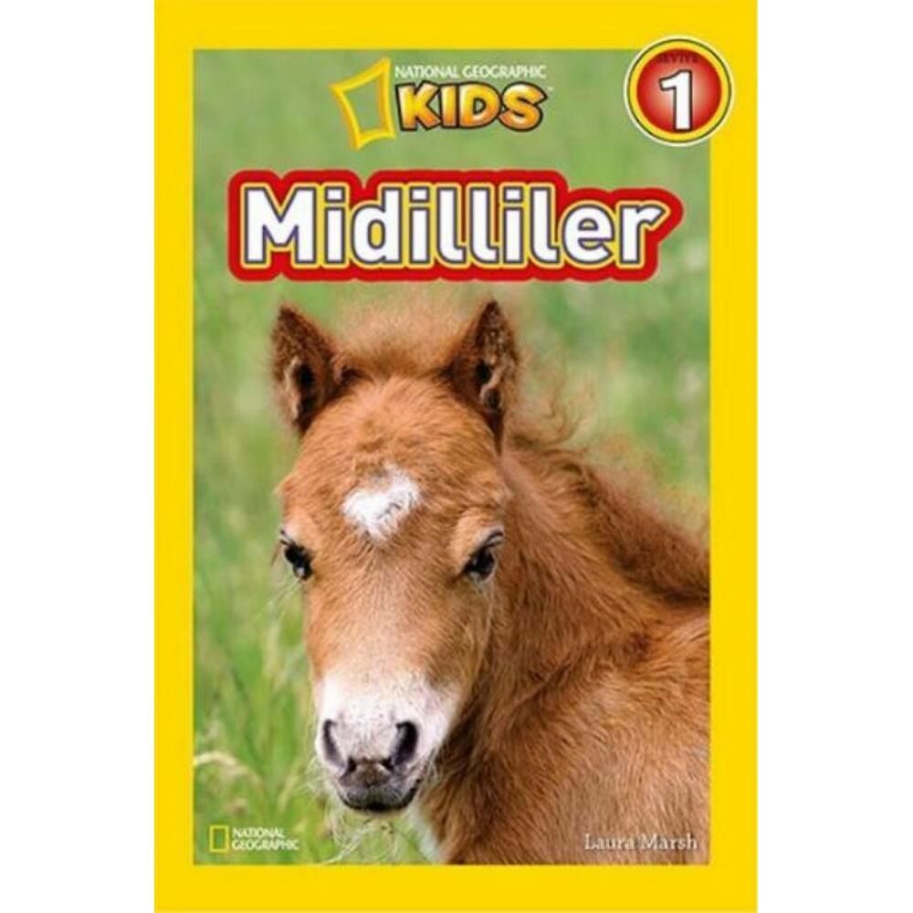 National Geographic Midilliler Seviye 1