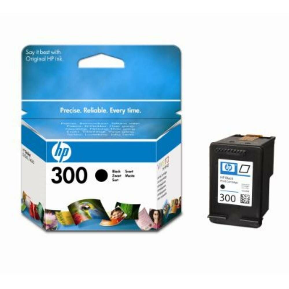 HP 300 Black Siyah Kartuş CC640EE