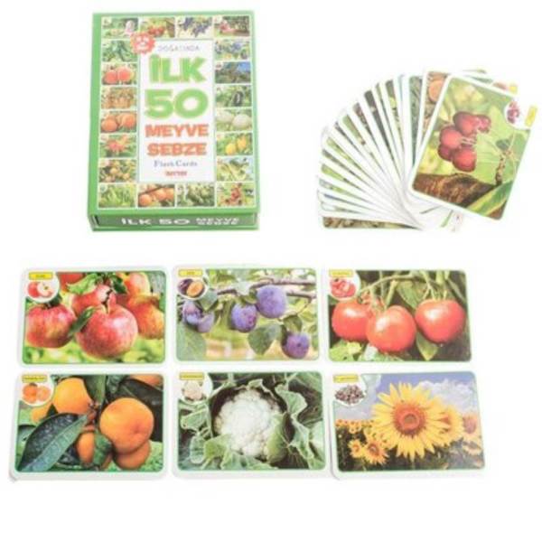 Diytoy Flash Card Manyetik Kartlar İlk 50 Sebze Meyve