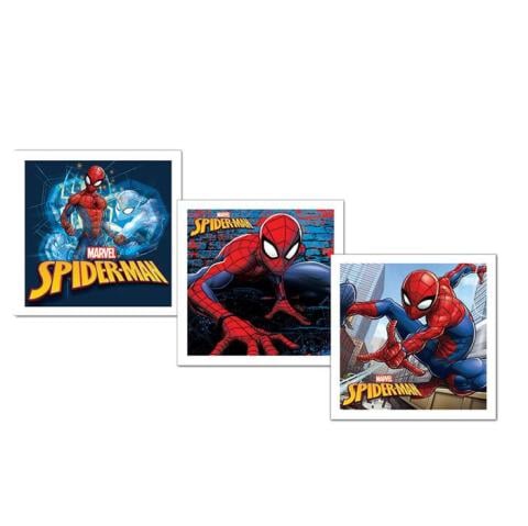 Spiderman Doğum Günü Kartı + Zarf 10 lu Poşet 160700