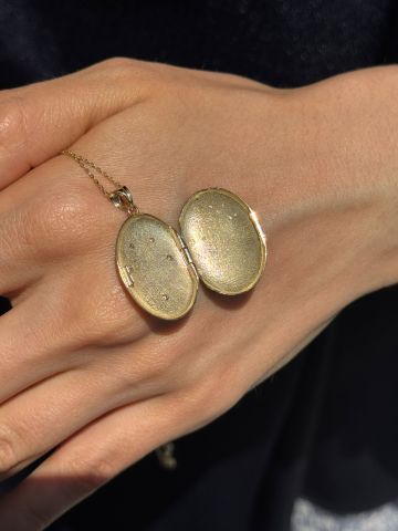 14K ANKA SEMBOL KAPAKLI KOLYE