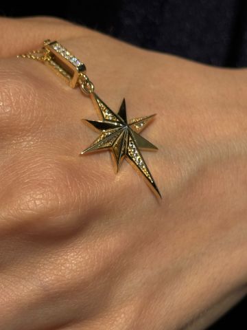 14K ARİN KOLYE