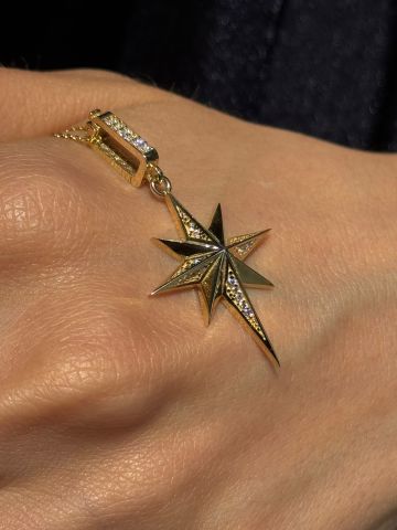 14K ARİN KOLYE