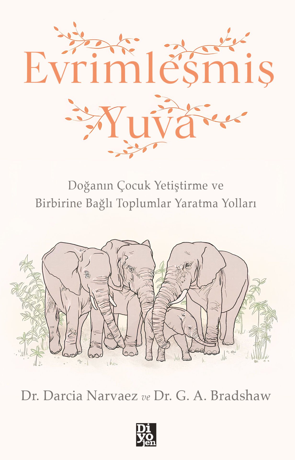EVRİMLEŞMİŞ YUVA