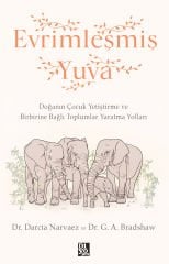 EVRİMLEŞMİŞ YUVA