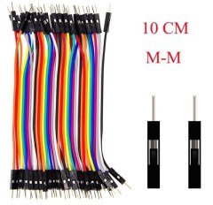 40 Pin Detachable Male-Male Jumper Cable (100mm)