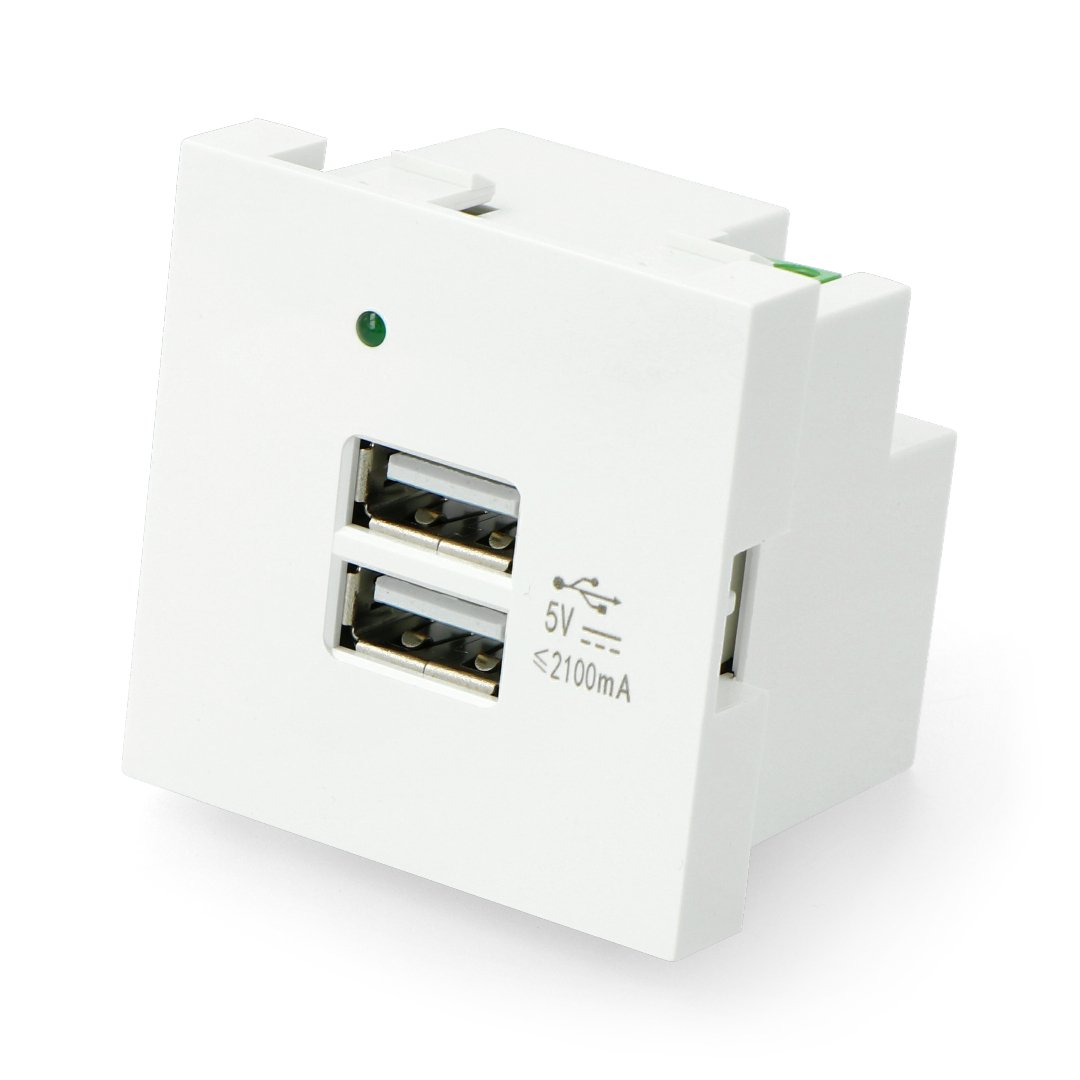 45x45 USB 2 Port Charger Input: AC 100-240V Output: DC 5V 2.1A