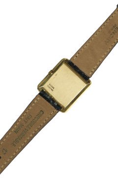 Piaget Protocole Saat