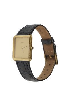 Piaget Protocole Saat