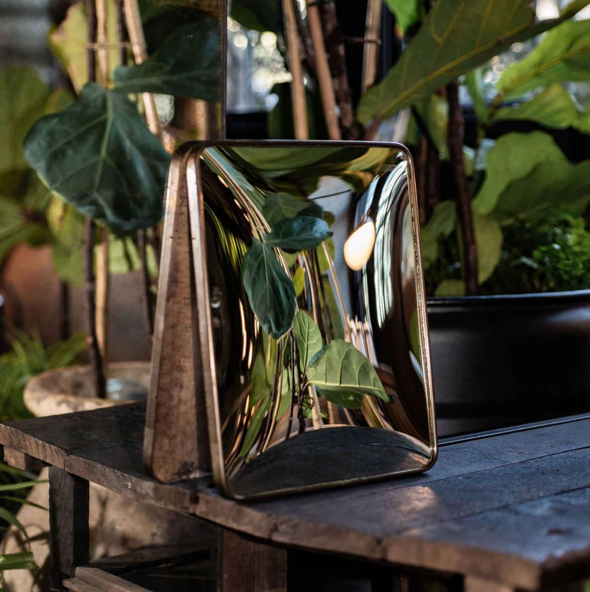 Convex Mirror Set