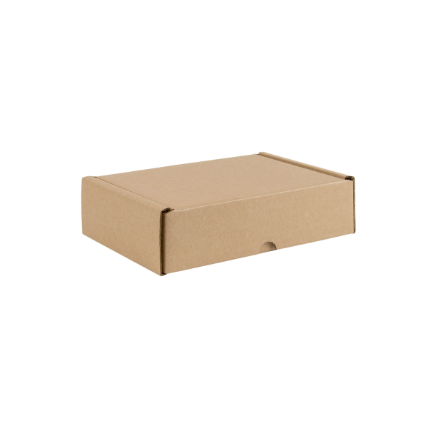 E-Ticaret (Kilitli) Kargo Kutusu (10x12x5.5) 50 Adet