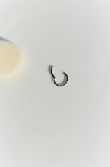 Erkek Çelik Halka Piercing Tragus Helix Kıkırdak 8 mm Gümüş Renk