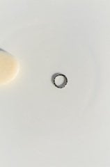 Erkek Çelik Halka Piercing Tragus Helix Kıkırdak 8 mm Gümüş Renk