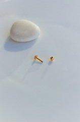 Erkek Çelik Piercing Tragus Helix Kıkırdak 6 mm Gold
