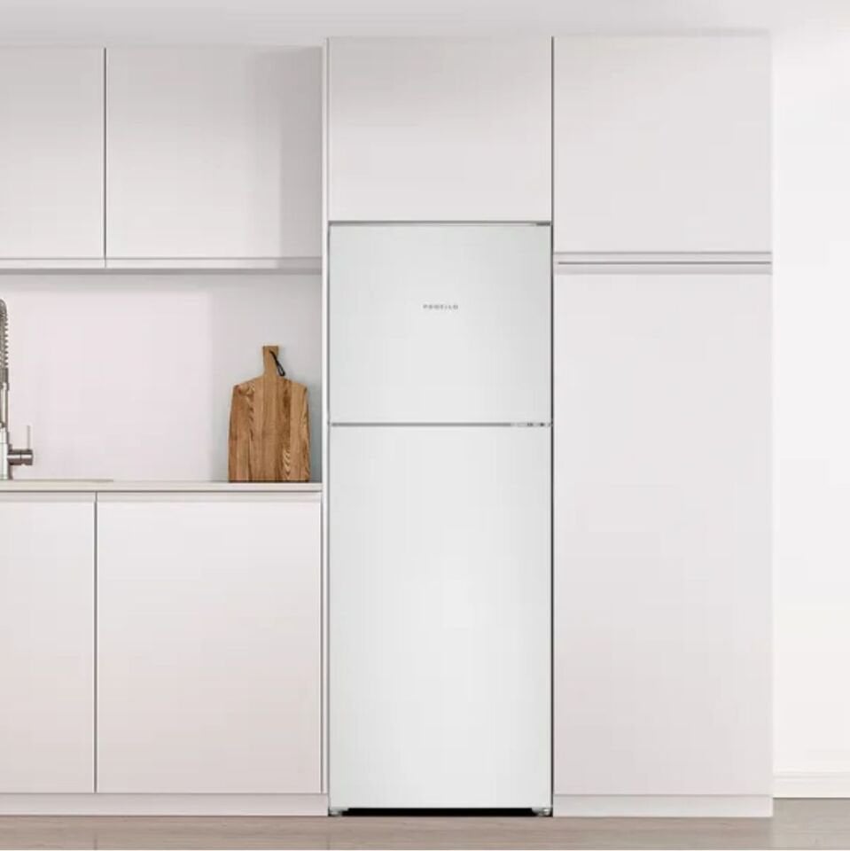 Profilo Bd2055Iexn Solo Buzdolobı