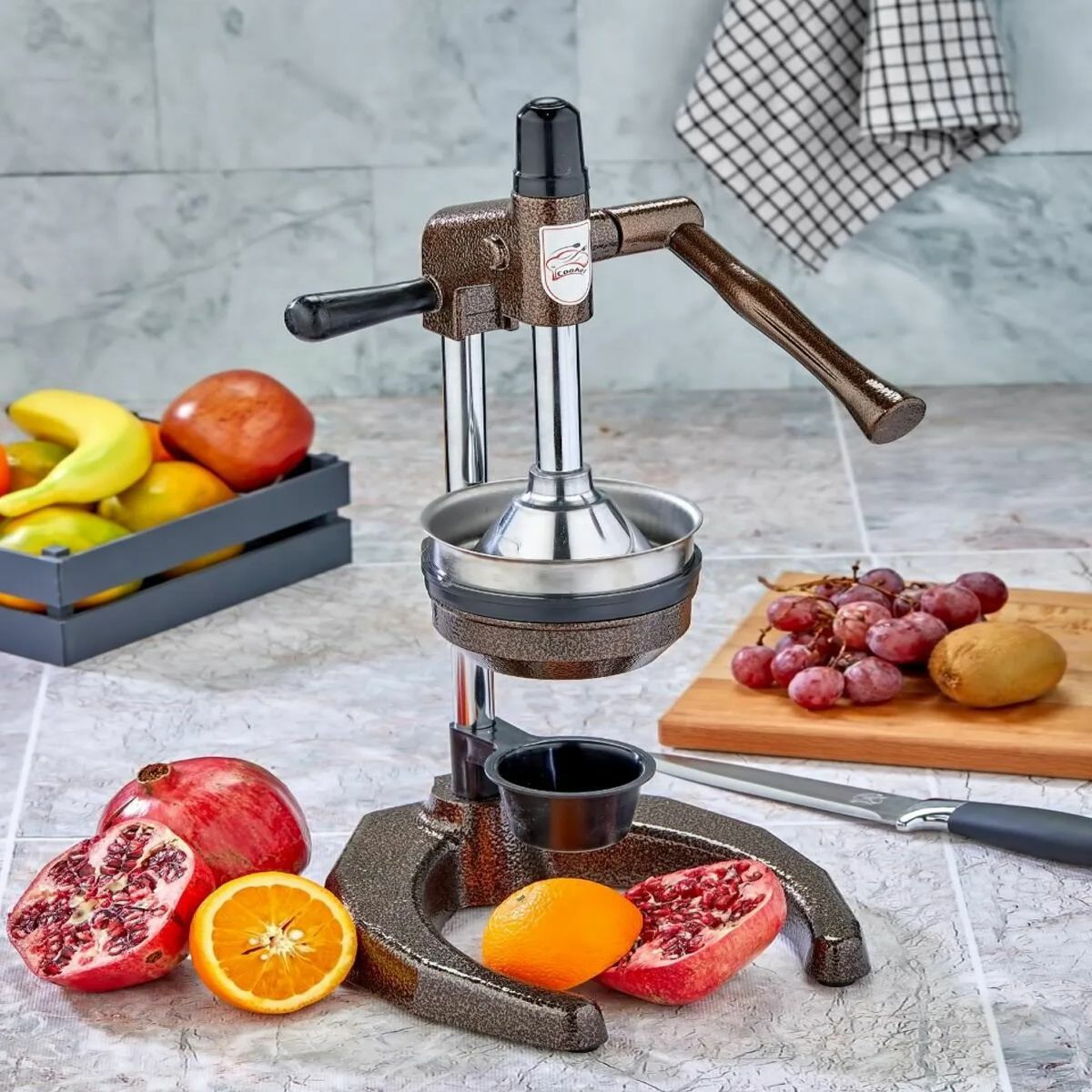 Cooker Sanayi Tipi Meyve Presi