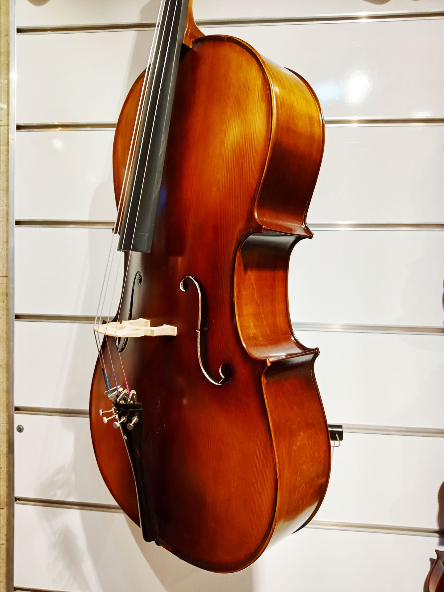 Tonal HDC 21 4/4 Full Size Cello