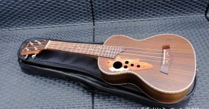 Soprano Ukulele 21 Inch