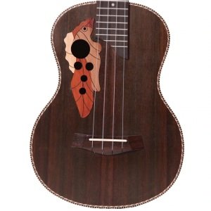 Soprano Ukulele 21 Inch