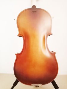 Tonal HDV01 4/4 Student Beginner Violin