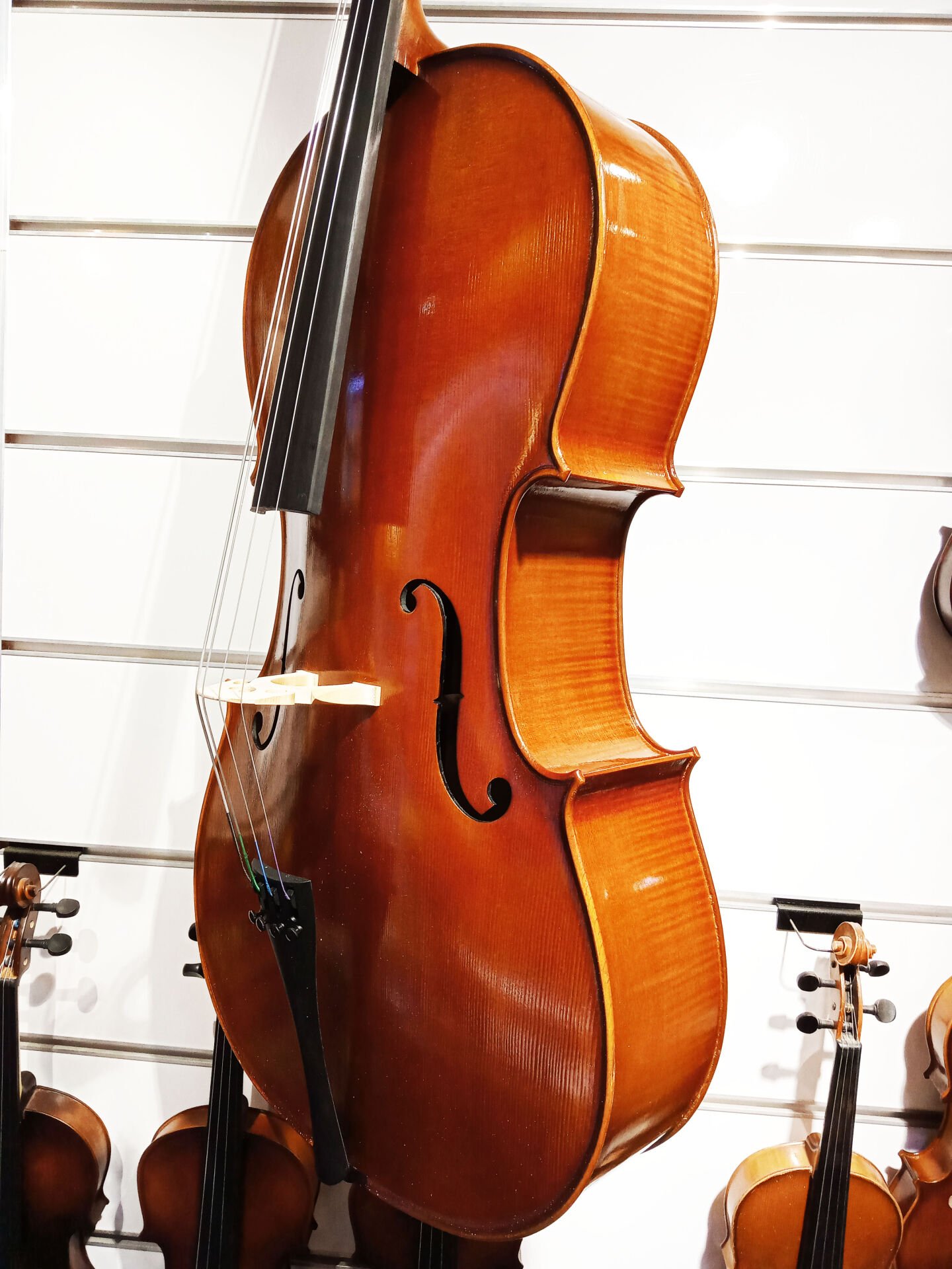 Tonal HDC51 Solid High Quality Moire Cello