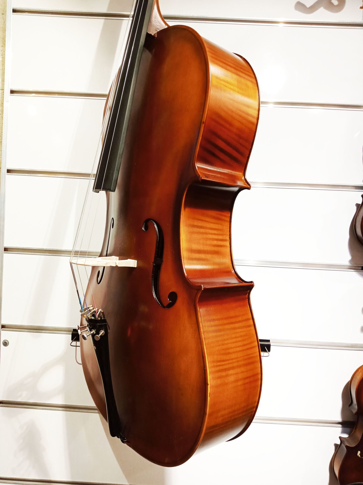 Tonal HDC01 1/2 Cello