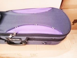 Tonal TNL004 Triangle Quality Violin Box with Extra Eyes